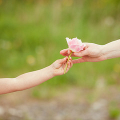 Mother day