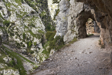 Ruta del Cares