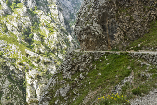 Ruta del Cares