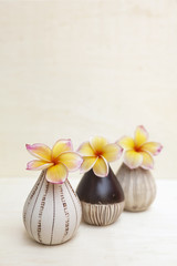 Obraz na płótnie Canvas Flower vase arrangement