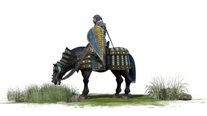Knight on horse isolated on white background © Riko Best