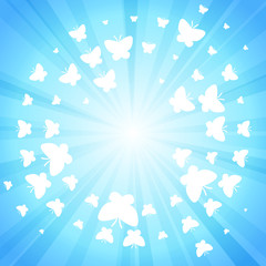 Blue shine butterfly background