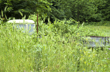 Fototapete bei efototapeten.de bestellen   