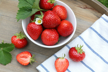 Erdbeeren in einer Schale Strawberry Fruits