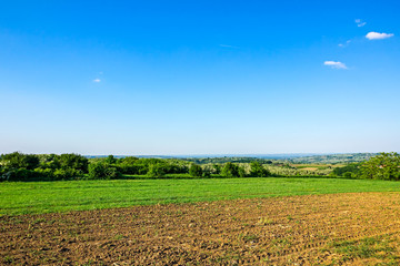 Agricultural fields in hilly landscape