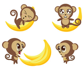 Monkey with Banana