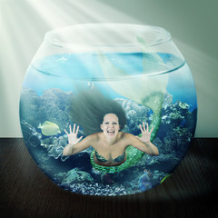 evil mermaid in fishbowl with fish on table