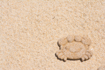 mold sand of crab on the beach
