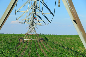 Crop Irrigation using the center pivot sprinkler system