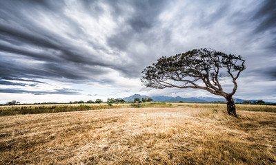Sardegna o Africa