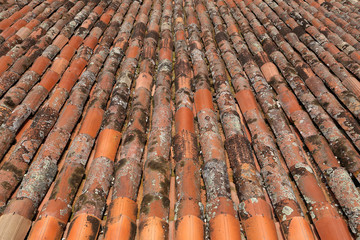 tetto, coppo, terracotta