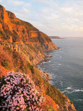 Chapman's peak road and coastline