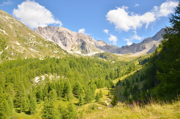 Fototapeta na wymiar Fond de Chaurionde (Queyras / Hautes-Alpes)