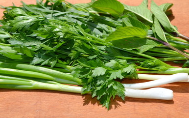 Петрушка, зеленый лук, мята