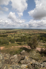 View  of the typical Alentejo countryside landscape with sparse tree clusters in Portugal.