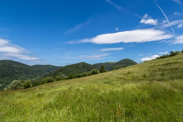 Tafelkleed paysage des Vosges © Olympixel