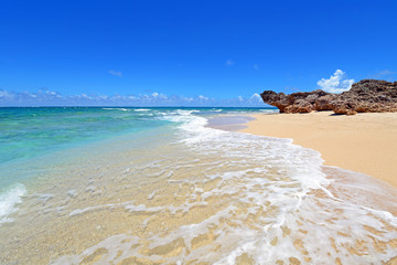 南国の美しいビーチと紺碧の空