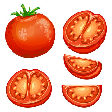 Illustration of red fresh Tomato half and slices 