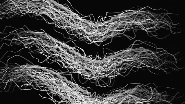 Abstract roots moving