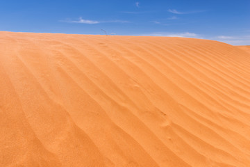Fototapeta na wymiar Sand Dune Texture Background