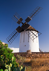 Naklejka premium Windmill in Tiscamanita, Fuerteventura 