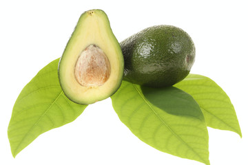 Avocado with Leaves
