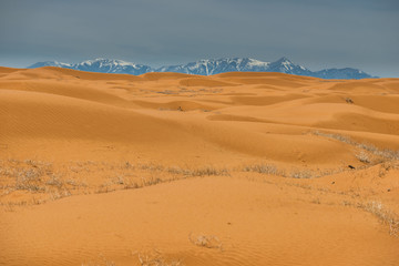Fototapeta na wymiar Desert Landscape with High Mountains