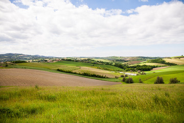 Fototapeta na wymiar paesaggio di campagna con cielo sereno e nuvole bianche