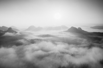 Mist in a beautiful hills. Peaks of hills are sticking out from fog