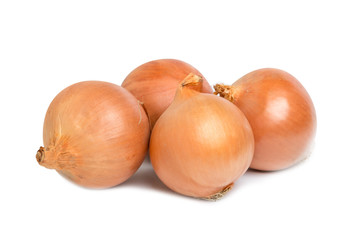 Fresh onion Group