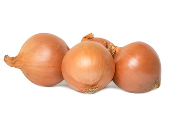 Fresh onion Group