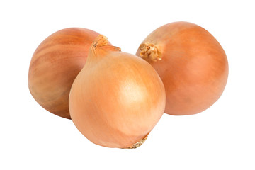 Fresh onion Group