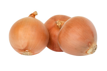 Fresh onion Group