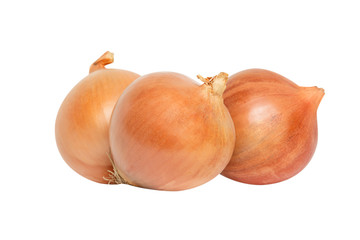 Fresh onion Group