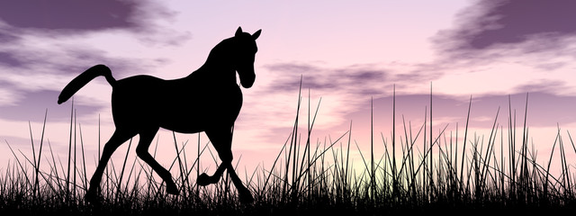 Horse silhouette in grass at sunset banner