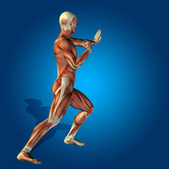 Conceptual 3D human man health anatomy