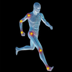 3D human man anatomy with articular pain