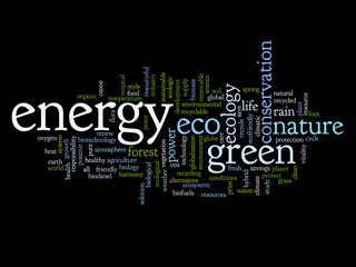 Conceptual ecology word cloud