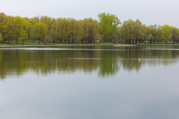 Fototapeta na wymiar beautiful pond in the summer park