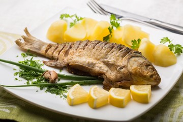 Trout, plate, grilled.