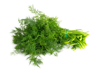 bunch of dill isolated on white