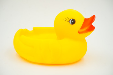 yellow duck