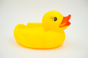 yellow duck