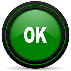 ok green icon