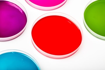 Dish, petri, closeup.