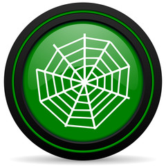 spider web green icon