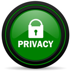 privacy green icon
