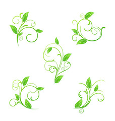 Set green floral elements with eco leaves isolated