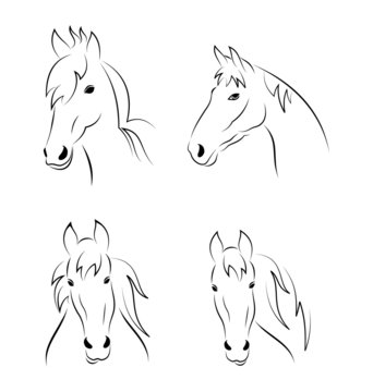 Set symbols outline head horse isolated on white background