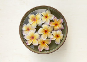 Obraz na płótnie Canvas Fresh Plumeria flower floating in the bowl